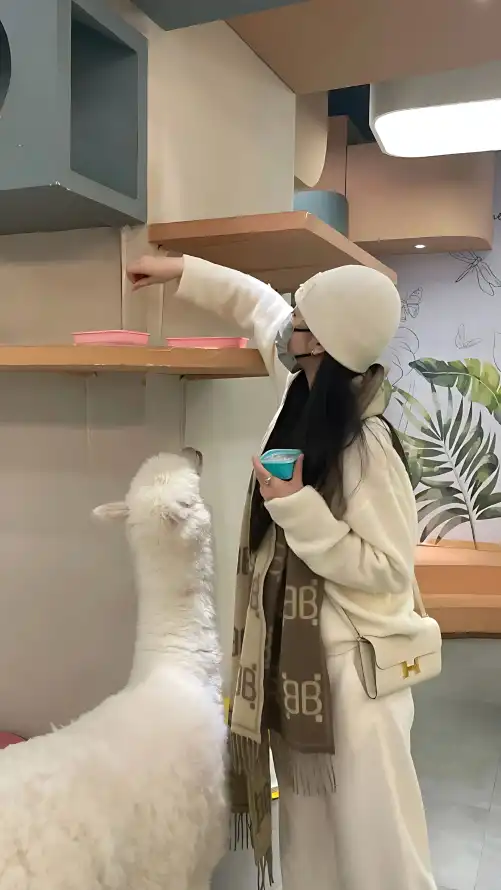 色五月丁香六月欧美综合_欧美三级不卡在线播放_亚洲色欲色欲77777小说